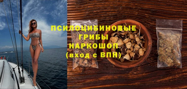 прущая мука Алзамай