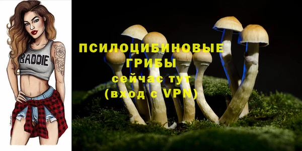 ГАЛЛЮЦИНОГЕННЫЕ ГРИБЫ Алексин
