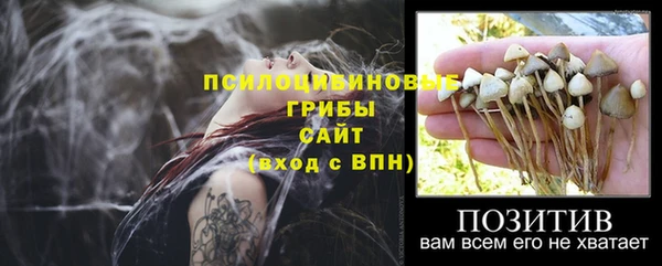 трава Алексеевка