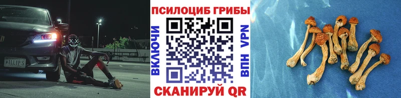 Псилоцибиновые грибы Magic Shrooms  Мамоново 